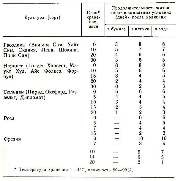 4 Продолжительность жизни цветов после хранения сухим и влажным способами По - фото 22