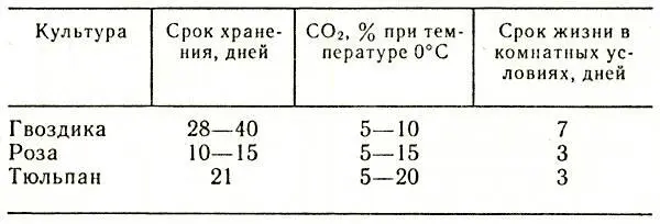 Таблица 11 Показатели хранения срезанных цветов в фольгированных упаковках в - фото 41