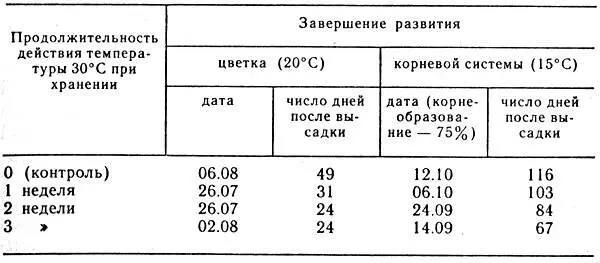 19 Влияние температуры на развитие тюльпана Из таблицы видно что для - фото 56