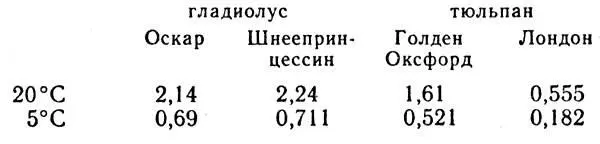 Характерно что интенсивность дыхания луковиц тюльпана ниже чем клубнелуковиц - фото 57