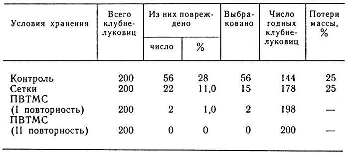 20 Результаты хранения клубнелуковиц гладиолуса сорта Оскар Для объективных - фото 58