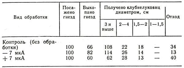 22 Учет урожая клубнелуковиц при электрообработке Предпосадочная обработка - фото 63