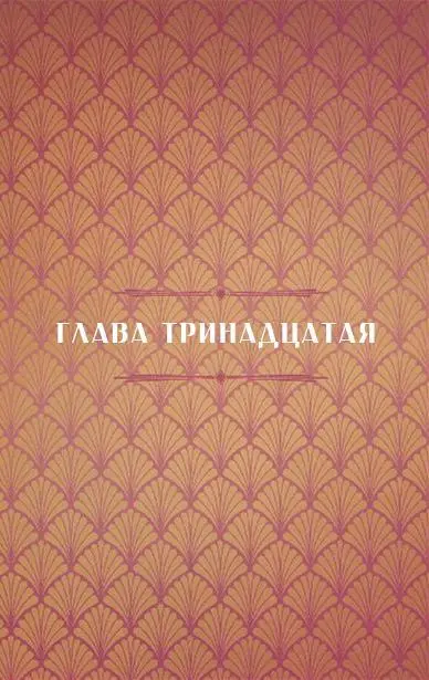 Было решено что мы уедем этой же ночью всего через несколько часов Времени - фото 42