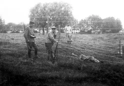 1915 год на границе между Нидерландами и оккупированной немцами Бельгией В - фото 53