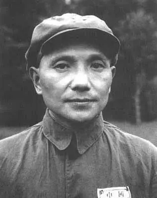 Дэн Сяопин комиссар гражданской войны 30е годы И всё же весной 1930 года - фото 171