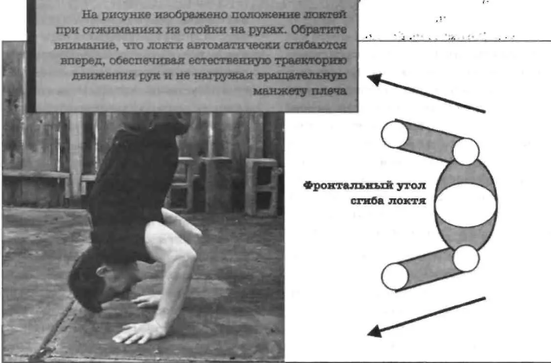 Тренировочная Зона Пол Уэйд Купить