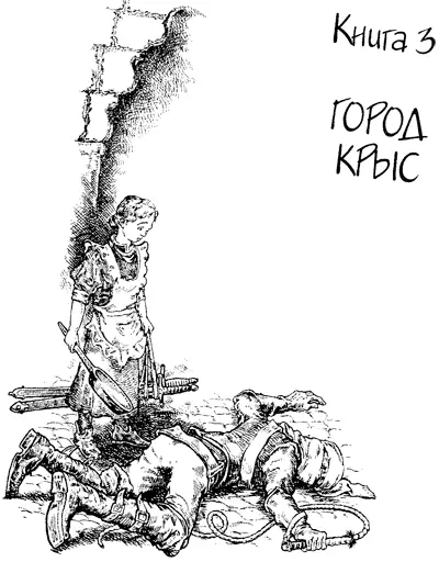 Глава 1 Ловушка Усталые и голодные Лиф Барда и Жасмин шли на запад в - фото 45