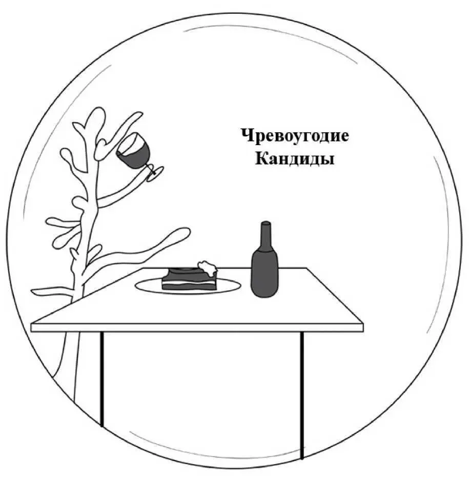 Глава 16 Про злую Кандиду В последнее время появилось очень много информации - фото 30