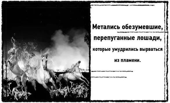 Снег с грунтовки сошел около недели назад оставив на жирной земле белесые - фото 1