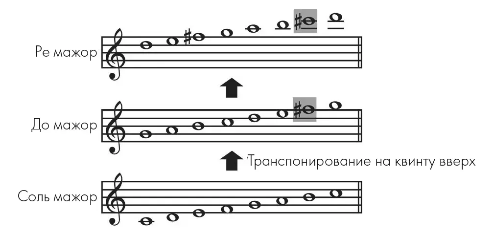 Рис 315 Каждое транспонирование гаммы вверх на чистую квинту добавляет одну - фото 17