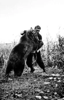 Витольд Шабловский - Танцующие медведи. Опыт обретения свободы