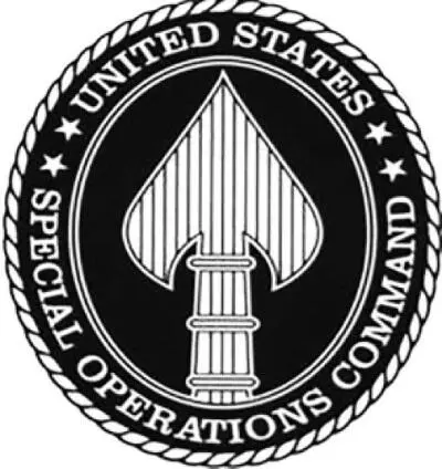 Рис 7 Эмблема объединенного командования сил специальных операций ВС США В - фото 14