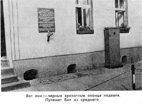 У памятника советским солдатам на площади выросла гора живых цветов И всё - фото 89