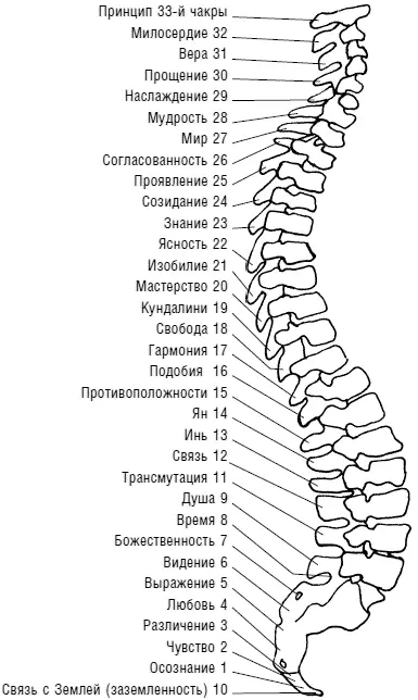 Самое распространенное заболевание у женщин средних лет это артроз - фото 5