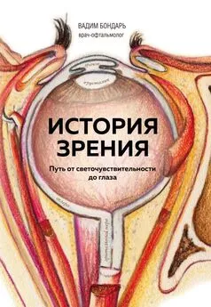 Вадим Бондарь - История зрения: путь от светочувствительности до глаза