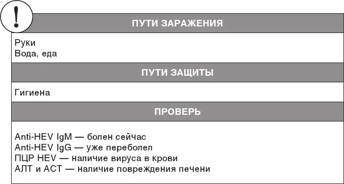 Чтобы не заразиться гепатитом Е достаточно кипятить воду то есть не пить из - фото 37