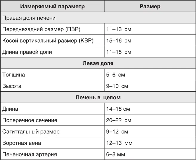 Второе что интересует на УЗИ это размеры вен Главная вена печени находится - фото 98