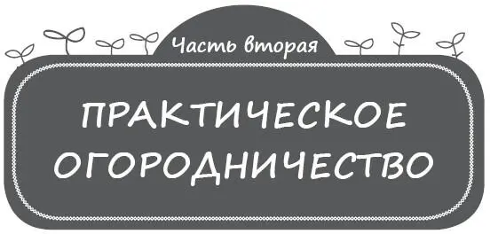 Если вы прочитали первую часть книги в основном теоретическую думаю уже - фото 8