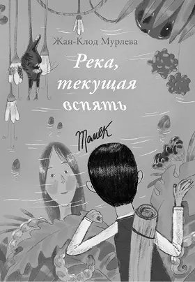 Философская сказка французского писателя ЖанаКлода Мурлева пазлперевертыш - фото 84