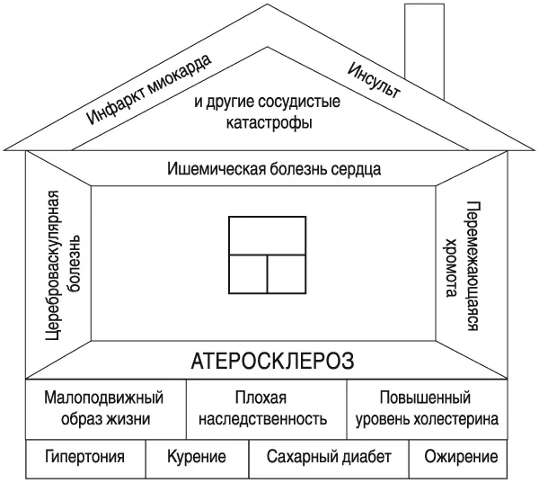 Но самое страшное происходит тогда когда атеросклеротическая бляшка - фото 8