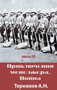 Александр Терников - Приключения менеджера. Война