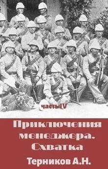 Александр Терников - Приключения менеджера. Схватка