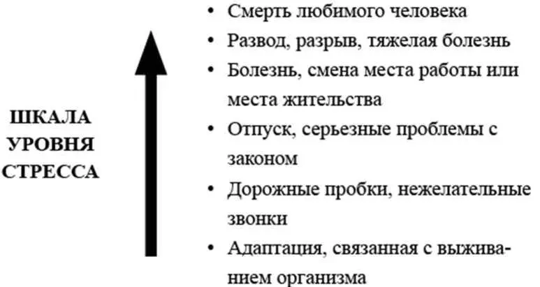 Хотя эта шкала стресса считается универсальной у каждого из нас есть своя - фото 1
