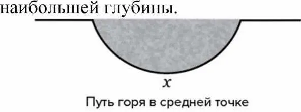 Жизнь начинает восстанавливаться Переход достигает финальной стадии После - фото 4