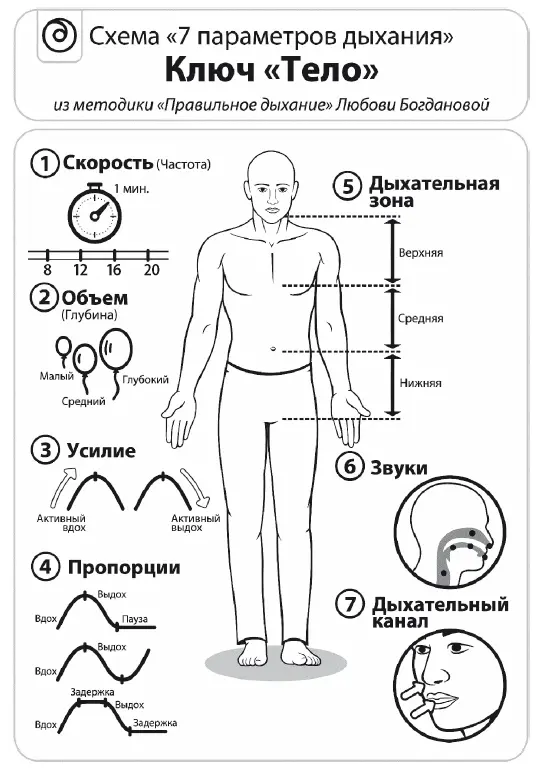 Поэтому если у вас получилось больше чем 12 дыхательных циклов в минуту это - фото 8