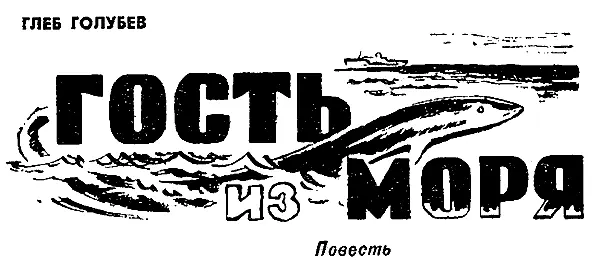 Странный институт Я всегда буду признателен причудливой журналистской судьбе - фото 125