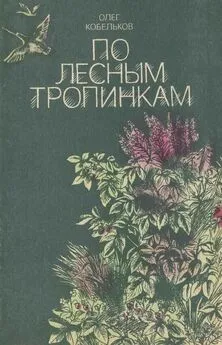 Олег Кобельков - По лесным тропинкам [Рассказы и сказки]