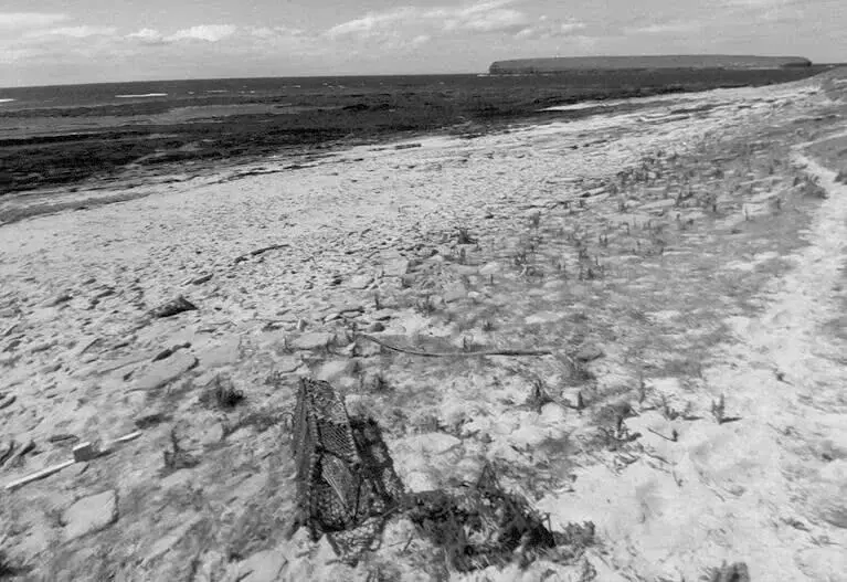 Глава 27 Что вынесло на берег В 1952 году на Оркни пришли такие сильные ветры - фото 42