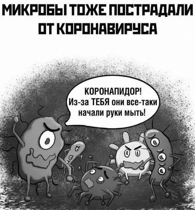 Коронавирус Интим не предлагать В своем недавнем обращении к нации Ангела - фото 32