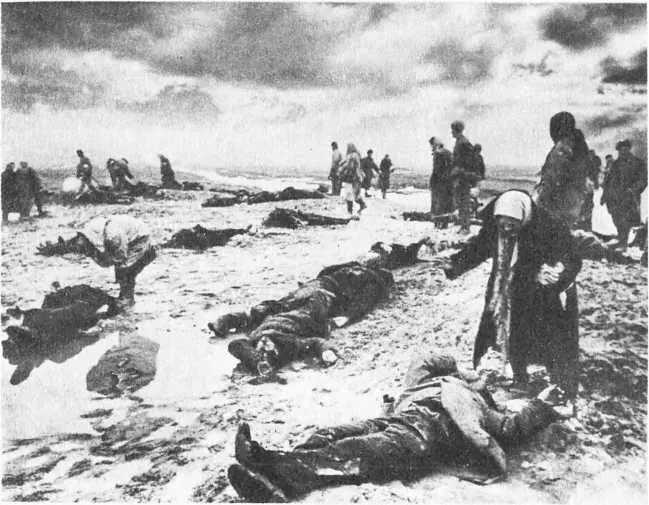 Великая Отечественная война 19411945 гг Они вернулись через 24 года но уже в - фото 11