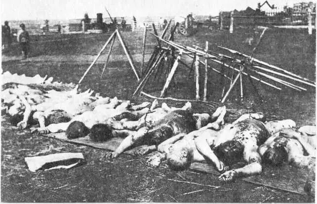 Осень 1919 г Село Сепичево Пермской обл Жертвы белого террора Красный террор - фото 21