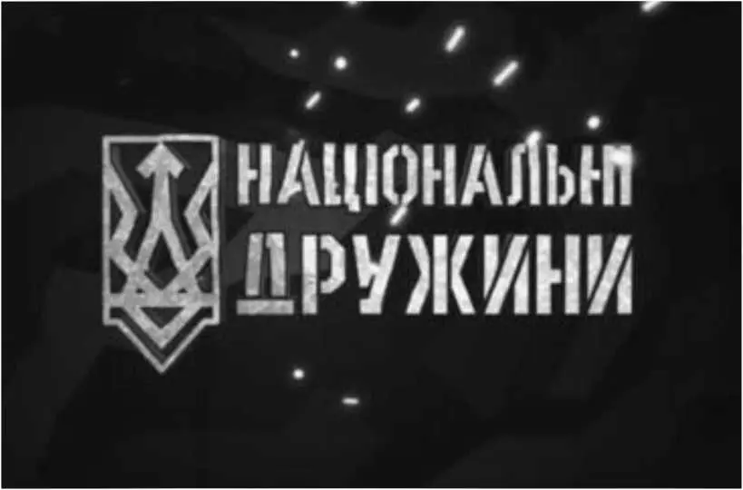 Символика Национальных дружин во многом похожа на символику Юношеского - фото 53