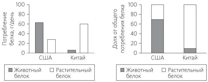 Рис 141Потребление белка в США и сельских районах Китая 923 Различия в - фото 58