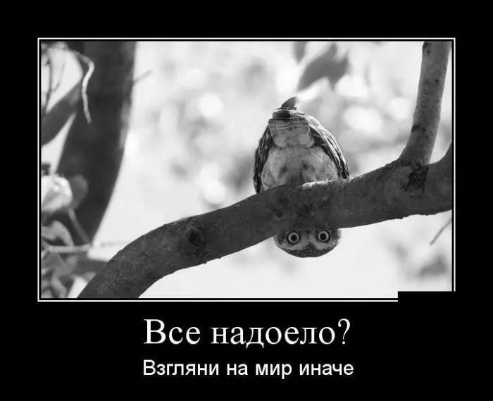Информация всегда подается в аспекте оценкиотношения к миру ситуации - фото 88