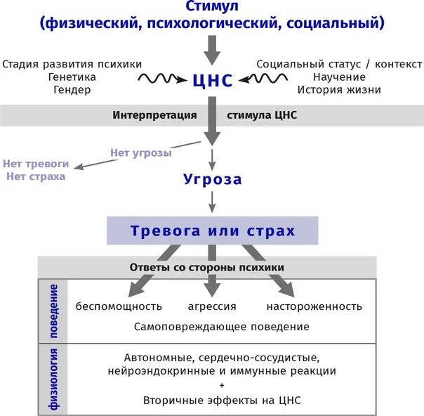 Итак сверху у нас стимул он может быть любым Стимул это чтото из внешней - фото 9