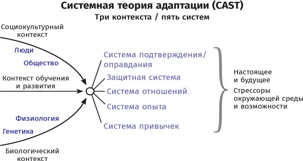 Все эти системы необходимо учитывать при анализе того как человек будет - фото 14
