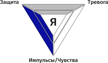 Возникают какието импульсы чувства которые могут генерировать тревогу и - фото 15