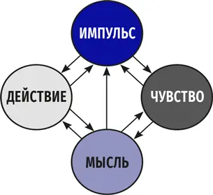 Отрицательные стороны такого копинга это трудности с переживаниями изоляция - фото 17