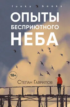Степан Гаврилов - Опыты бесприютного неба [litres]