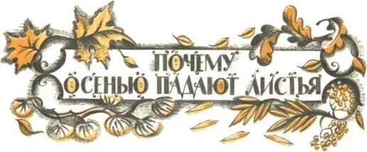 Осенью птичьи стаи улетают на юг звери меняют летние шубы на зимние Но и для - фото 31