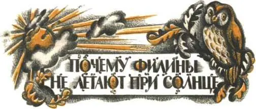 Эту историю рассказывала сорока Она не только разносит по лесу последние - фото 33