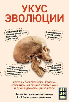 Сандра Кан - Укус эволюции. Откуда у современного человека неправильный прикус, кривые зубы и другие деформации челюсти