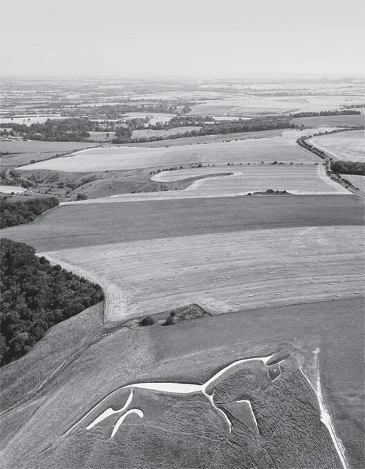 Уффингтонская белая лошадь Гигантский доисторический рисунок на склоне холма в - фото 5