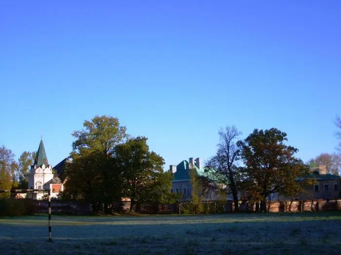 Вид на Фёдоровский городок со стороны Александровского парка 2014 г САНИТАР - фото 3