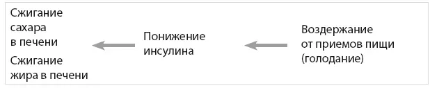 Рисунок 52 Глюконеогенез процесс обратный накоплению гликогена Процесс - фото 42