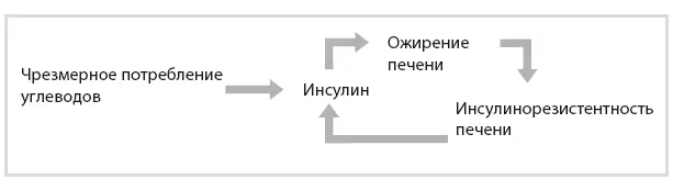 Рисунок 74 Гепатический цикл резистентность к инсулину Печеночный цикл - фото 67